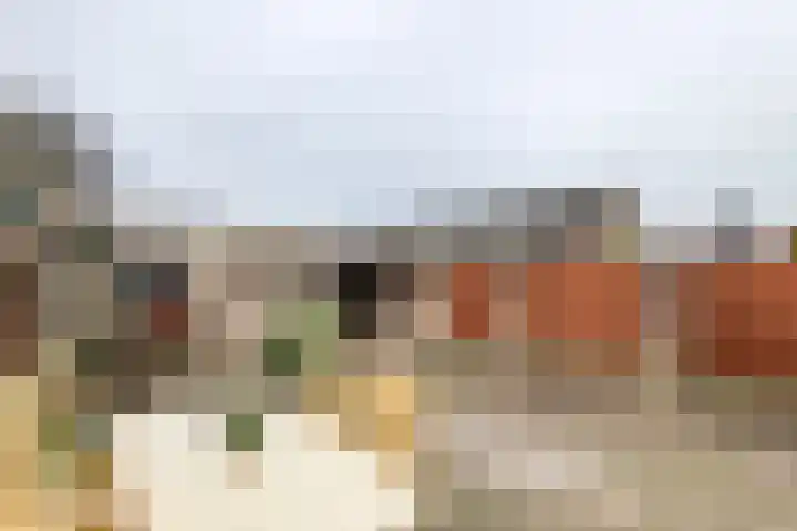 De Hennepe 209 Tiel thumbnail 28