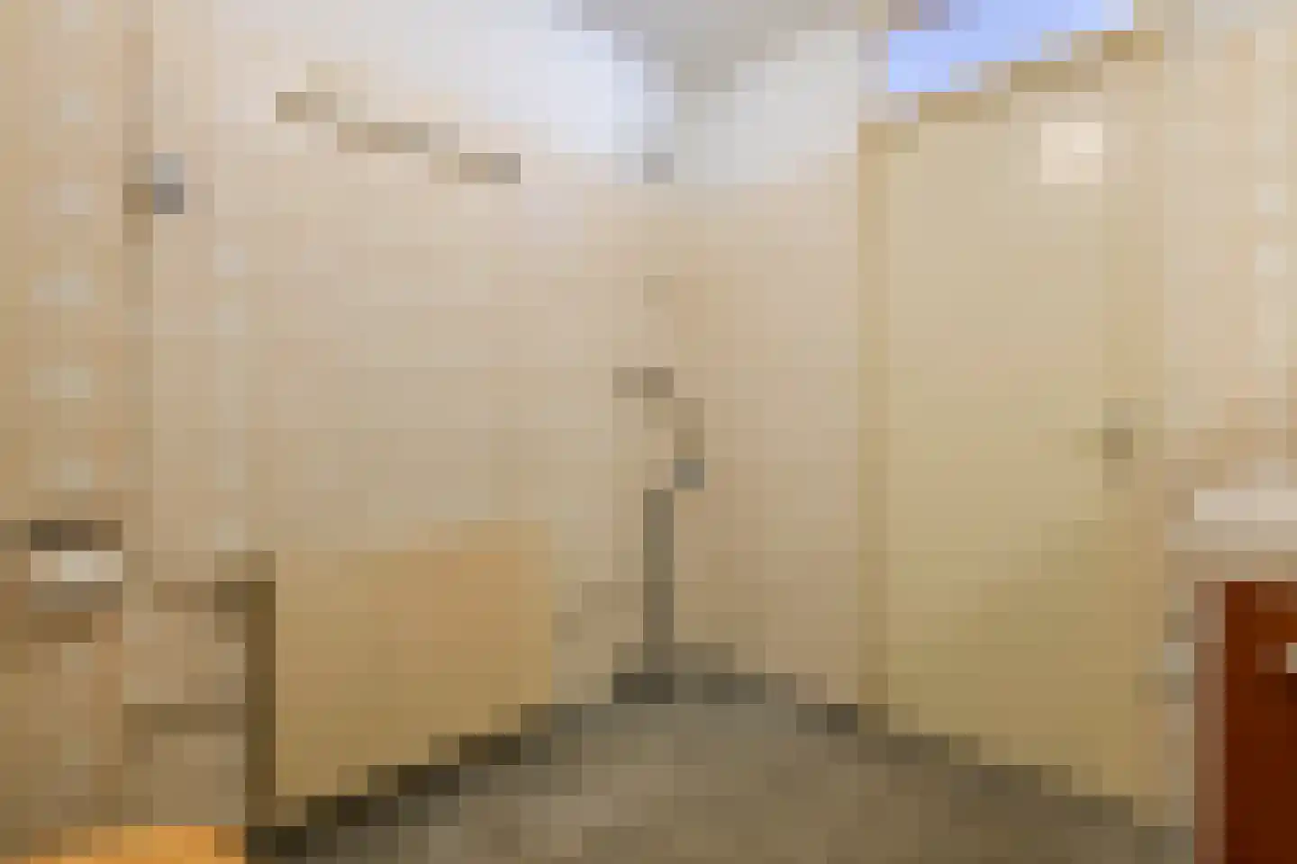 De Hennepe 213 Tiel thumbnail 26