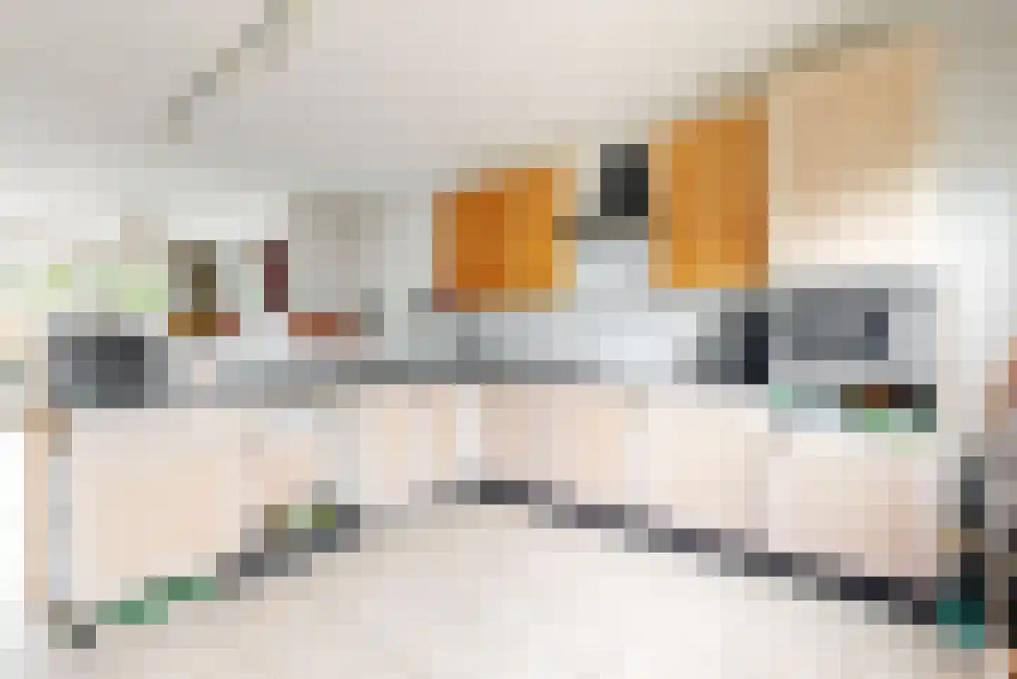 De Hennepe 301 Tiel thumbnail 10