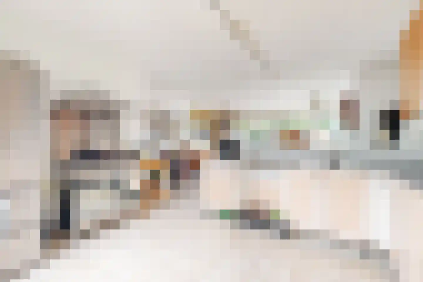 De Hennepe 301 Tiel thumbnail 11