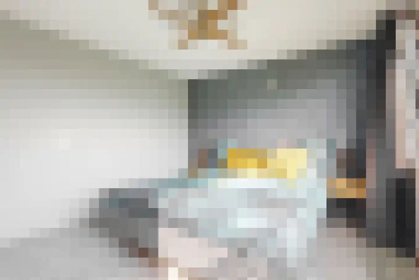 De Hennepe 301 Tiel thumbnail 13