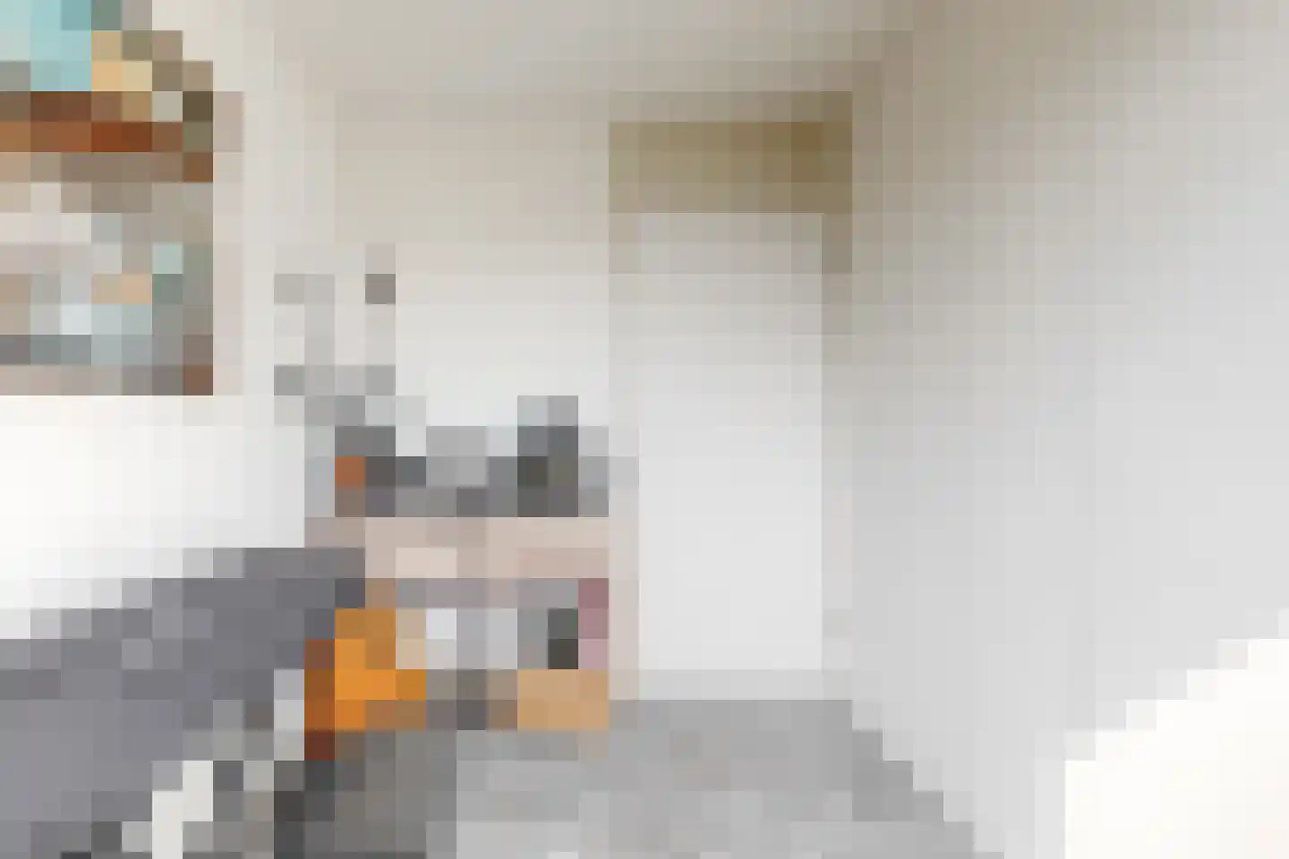 De Hennepe 301 Tiel thumbnail 16