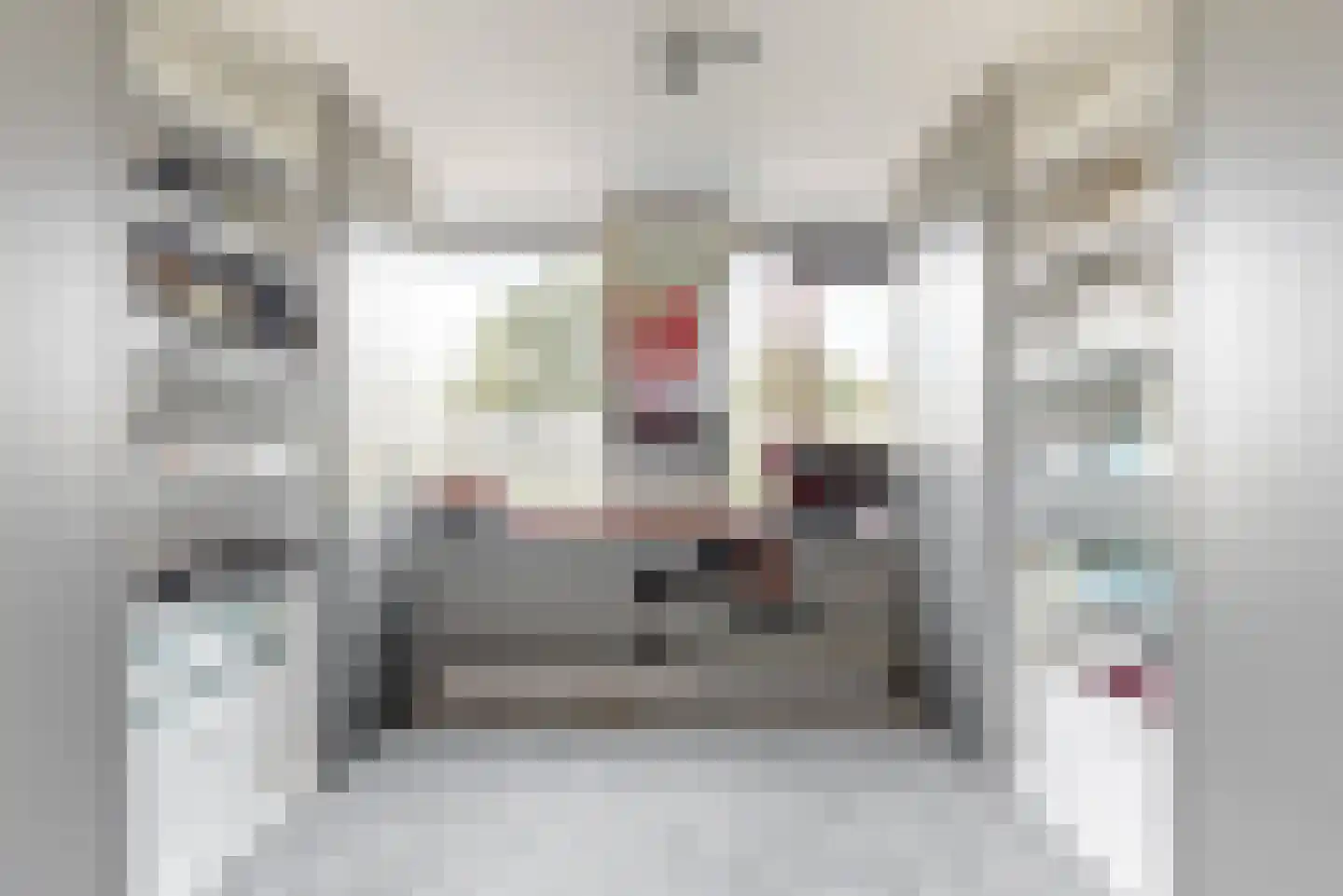 De Hennepe 301 Tiel thumbnail 17