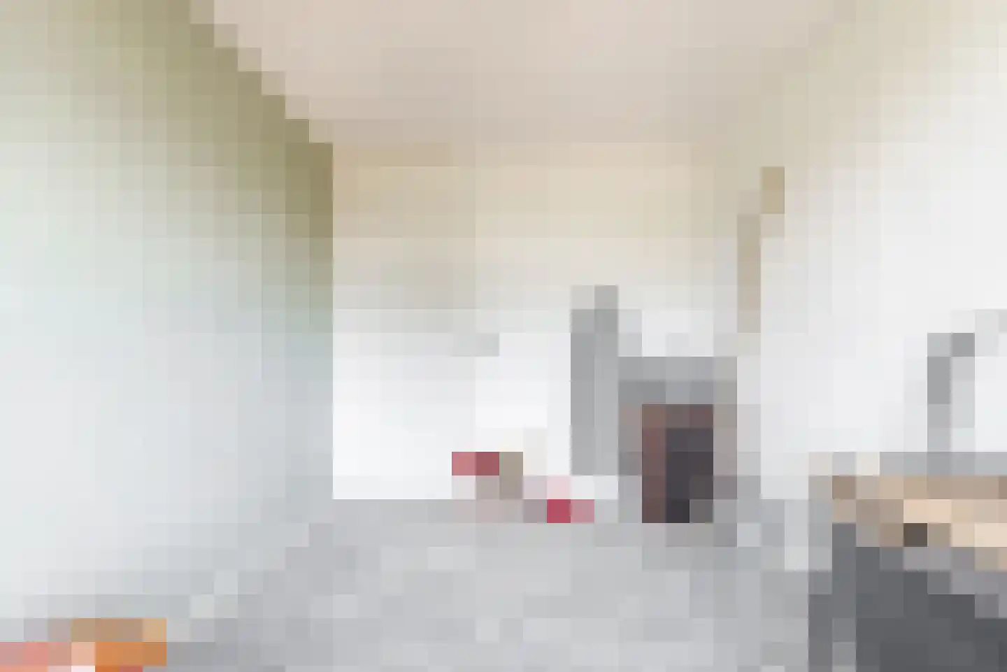 De Hennepe 301 Tiel thumbnail 20