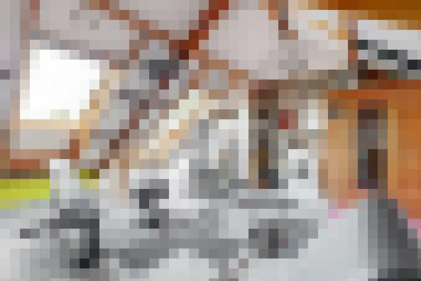 De Hennepe 301 Tiel thumbnail 25
