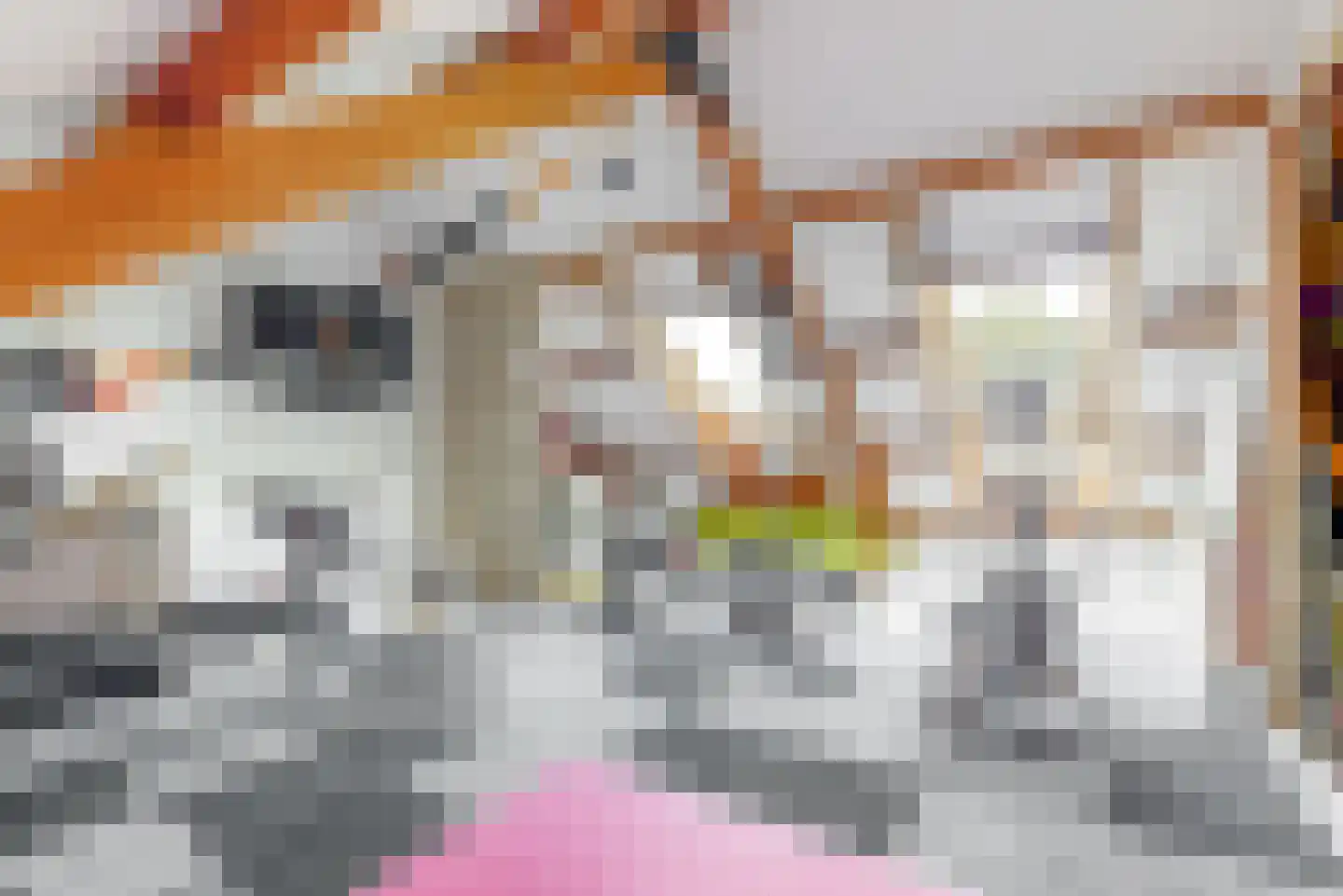 De Hennepe 301 Tiel thumbnail 27