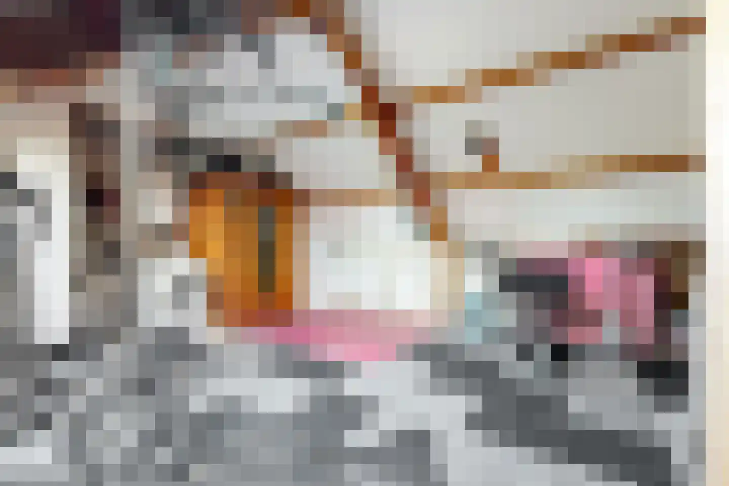 De Hennepe 301 Tiel thumbnail 28