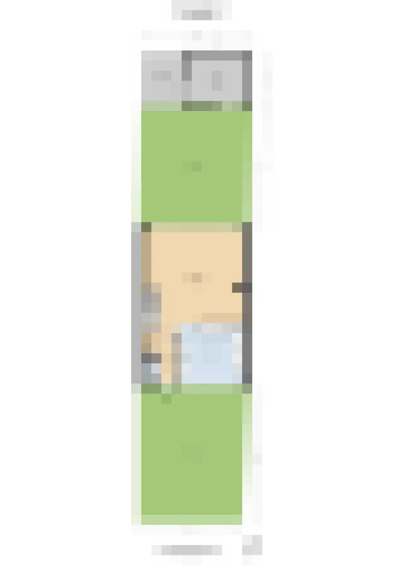 De Hennepe 301 Tiel thumbnail 42