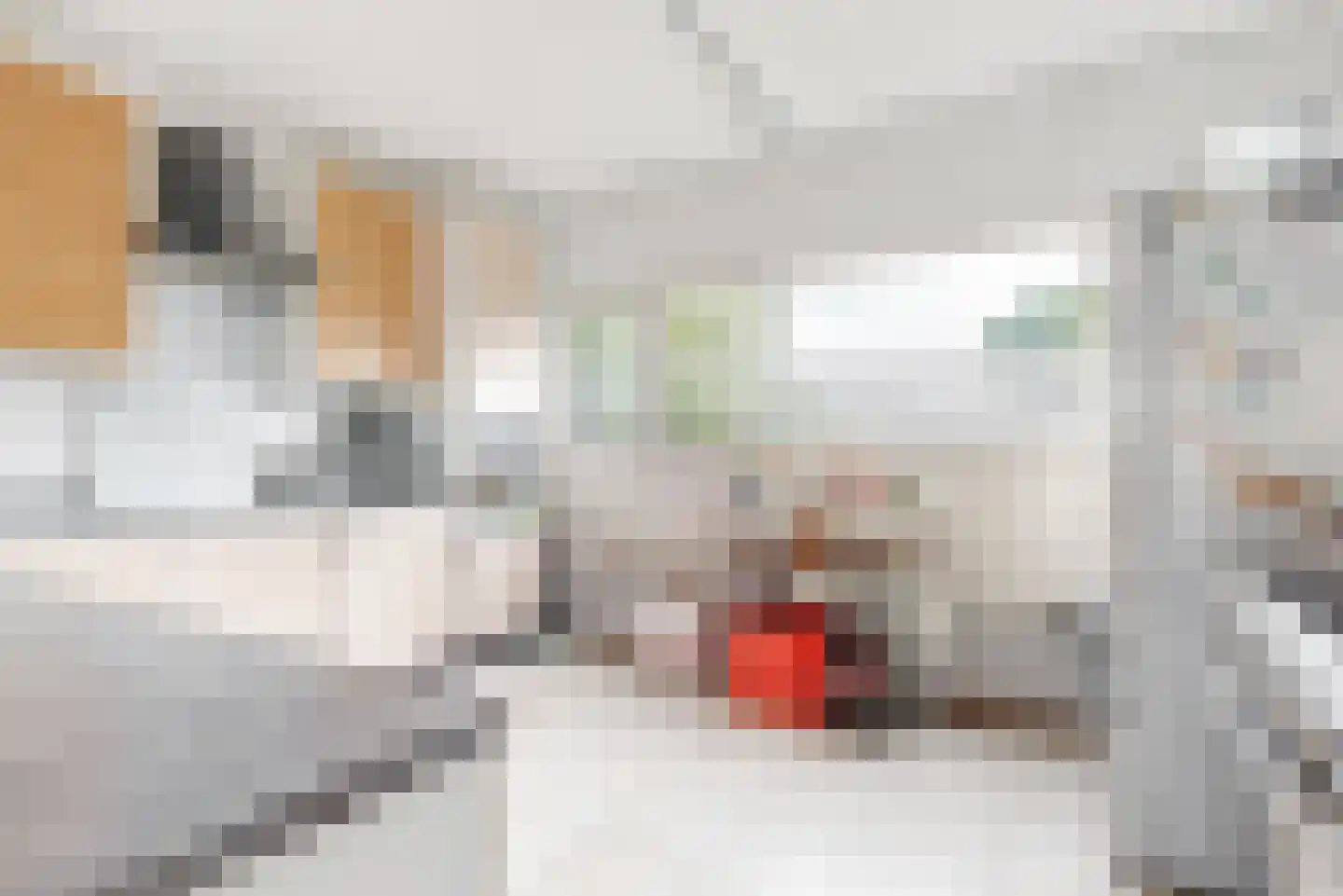 De Hennepe 301 Tiel thumbnail 9