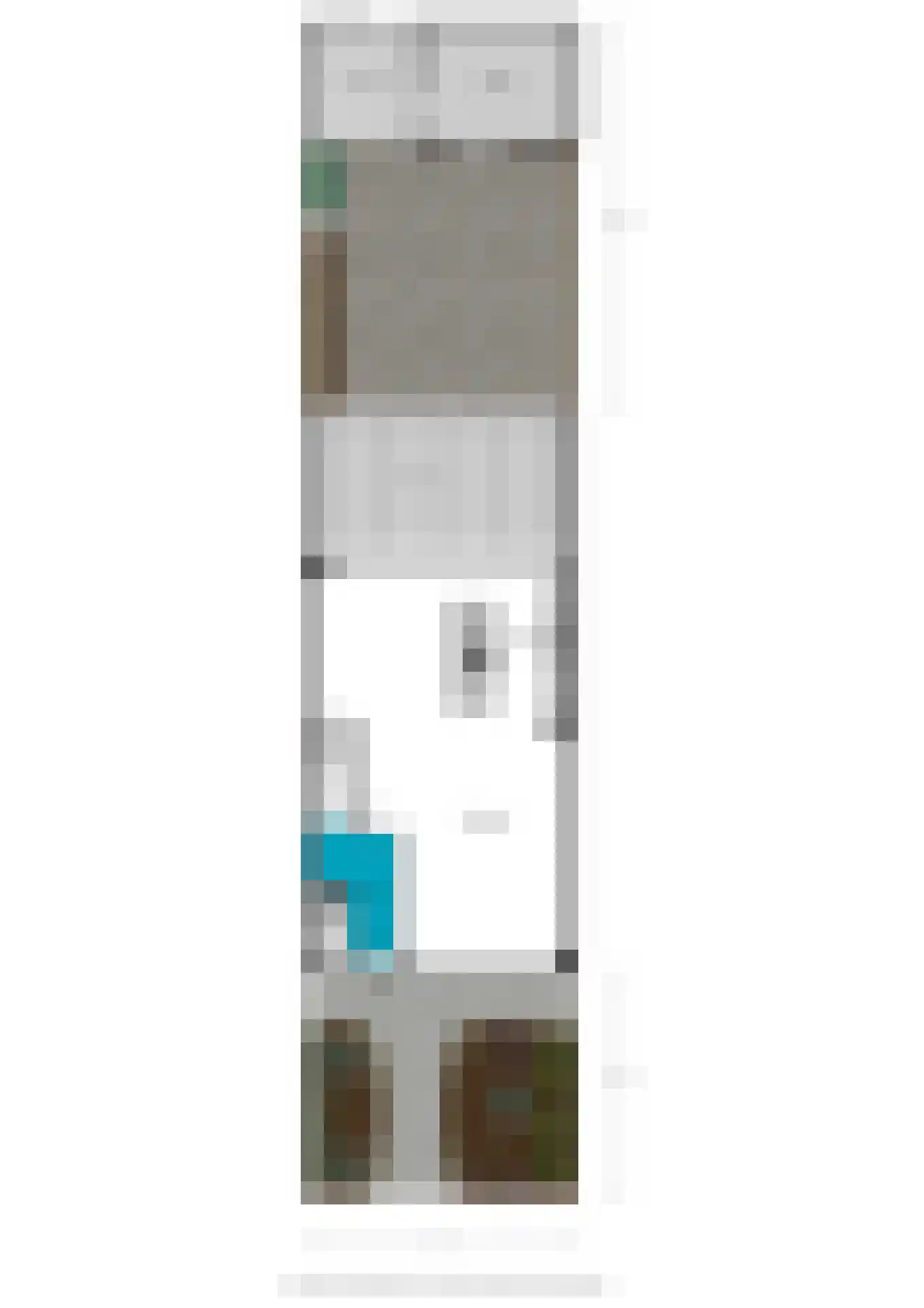 De Hennepe 393 Tiel thumbnail 35