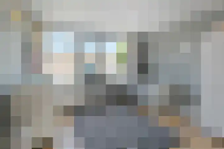 De Hennepe 437 Tiel thumbnail 11