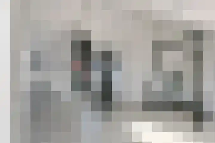 De Hennepe 437 Tiel thumbnail 15