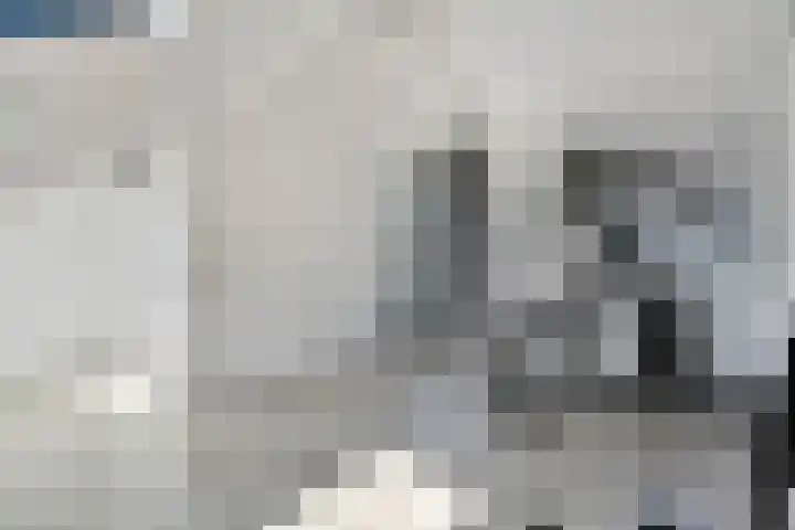 De Hennepe 437 Tiel thumbnail 16