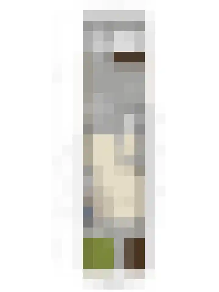 De Hennepe 437 Tiel thumbnail 27