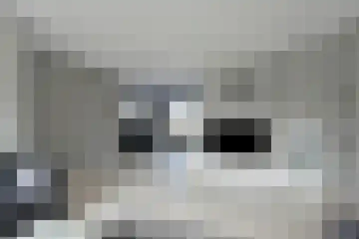 De Hennepe 437 Tiel thumbnail 4