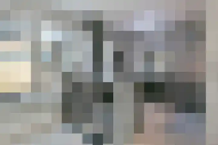 De Hennepe 437 Tiel thumbnail 6