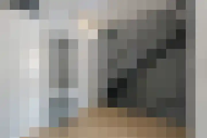 De Hennepe 437 Tiel thumbnail 9