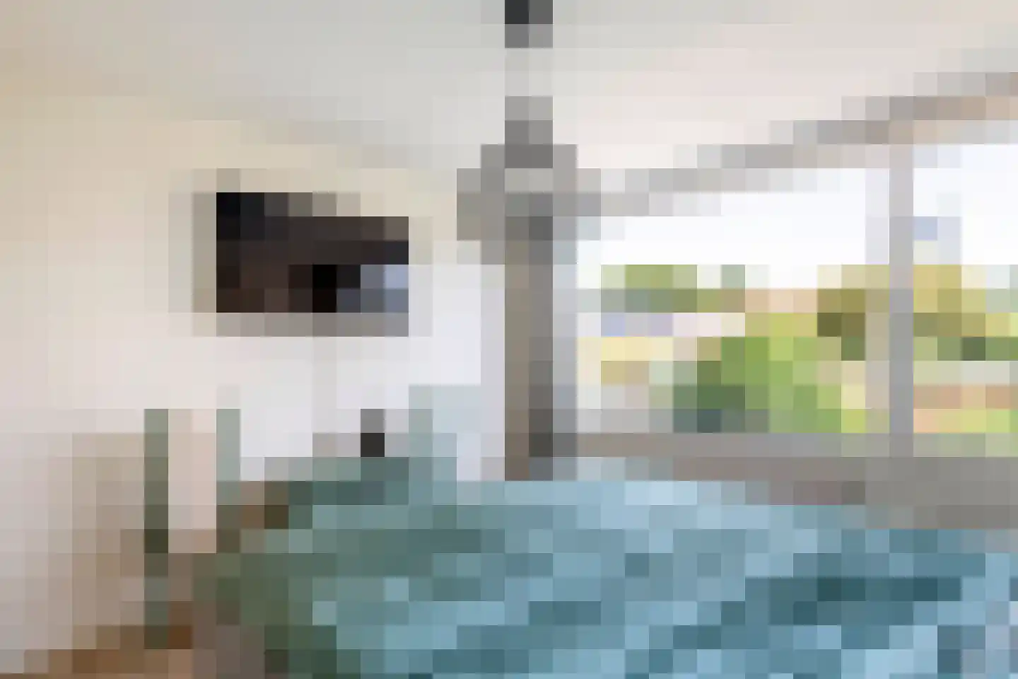 De Hennepe 491 Tiel thumbnail 29