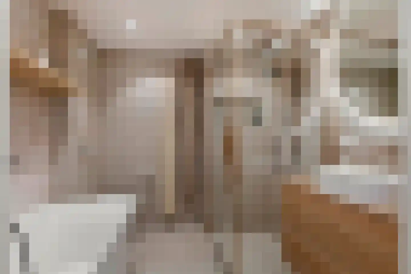 De Hennepe 491 Tiel thumbnail 36