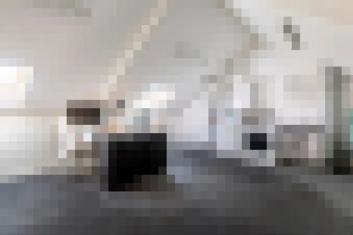 De Hennepe 491 Tiel thumbnail 40