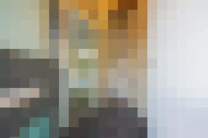 De Hennepe 51 Tiel thumbnail 10