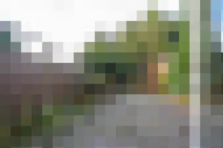 De Hennepe 51 Tiel thumbnail 23