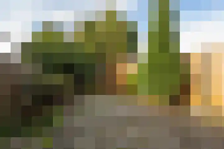 De Hennepe 51 Tiel thumbnail 24