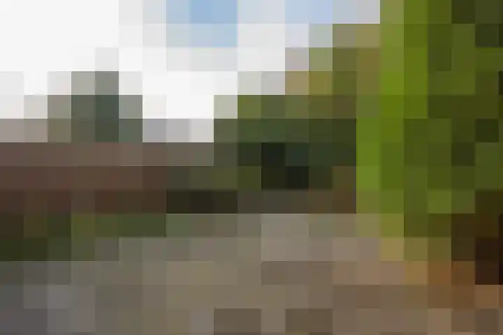 De Hennepe 51 Tiel thumbnail 25