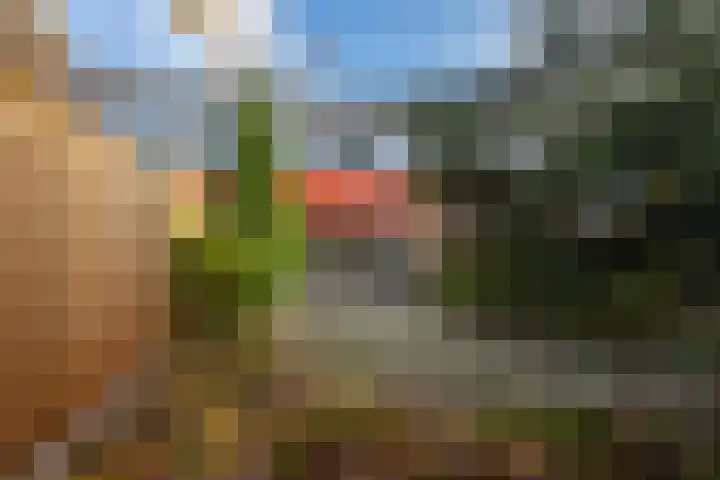 De Hennepe 51 Tiel thumbnail 27
