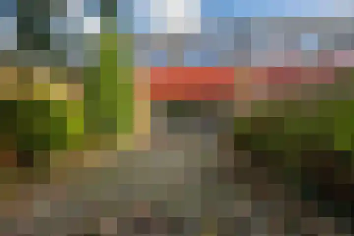 De Hennepe 51 Tiel thumbnail 28