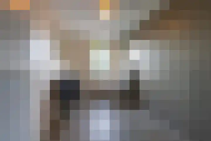 De Hennepe 51 Tiel thumbnail 30