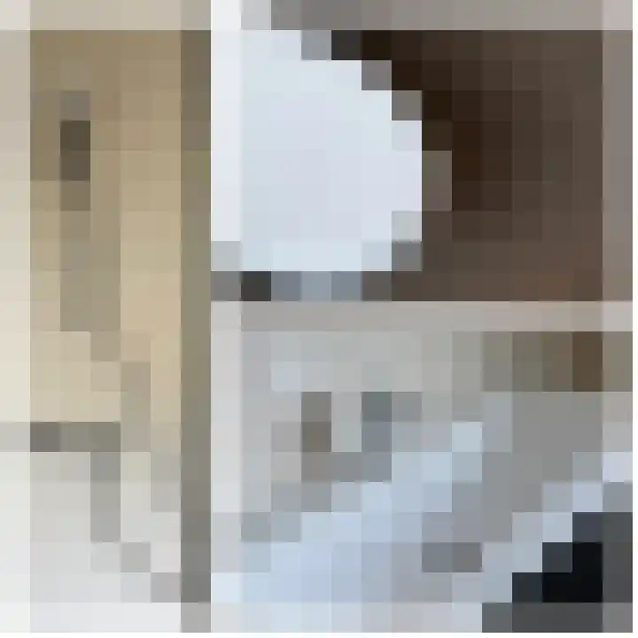 De Hennepe 51 Tiel thumbnail 31