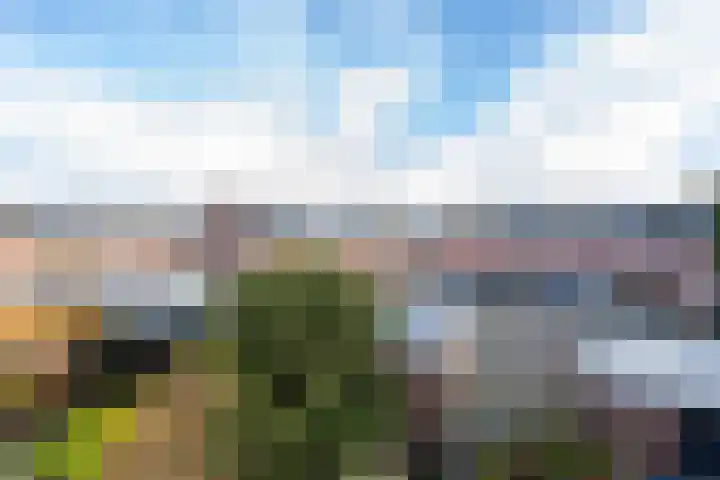 De Hennepe 51 Tiel thumbnail 39