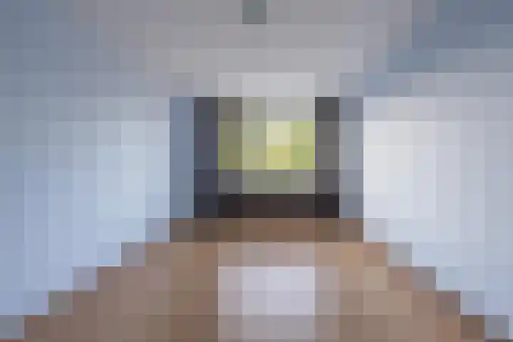 De Hennepe 51 Tiel thumbnail 40