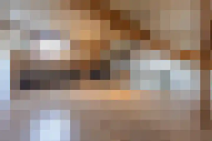 De Hennepe 51 Tiel thumbnail 42
