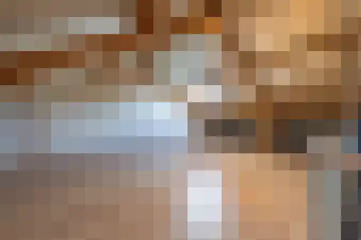 De Hennepe 51 Tiel thumbnail 43