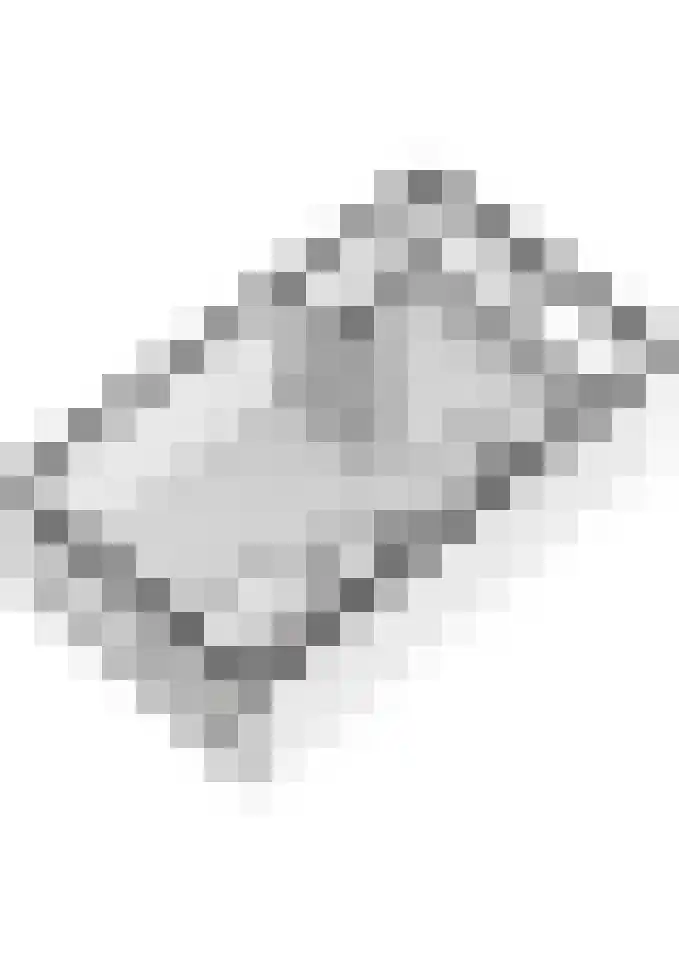 De Hennepe 51 Tiel thumbnail 45