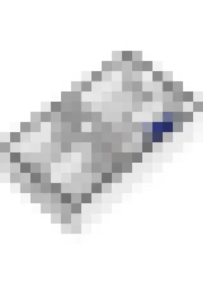 De Hennepe 51 Tiel thumbnail 47