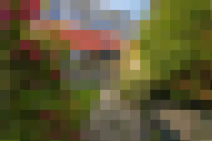 De Hennepe 51 Tiel thumbnail 7