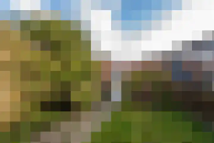 De Hennepe 51 Tiel thumbnail 8
