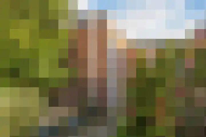 De Hennepe 51 Tiel thumbnail 9
