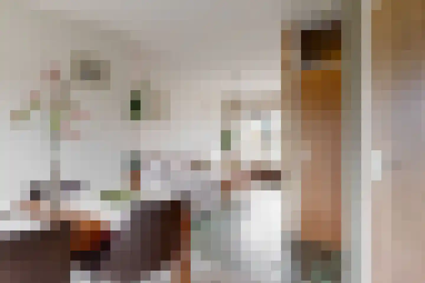 De Hennepe 527 Tiel thumbnail 10