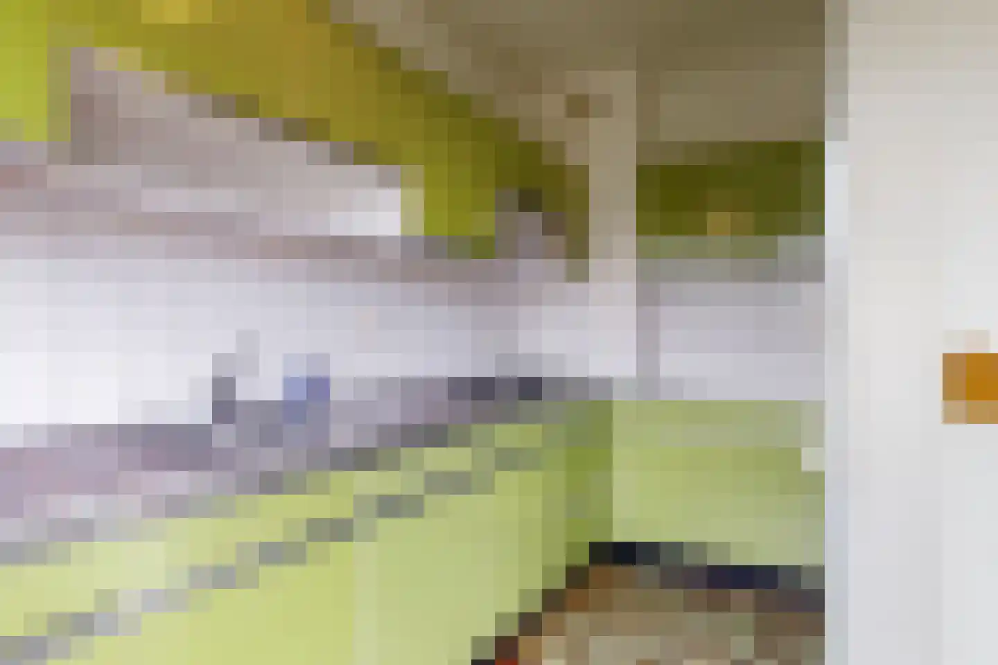 De Hennepe 527 Tiel thumbnail 12