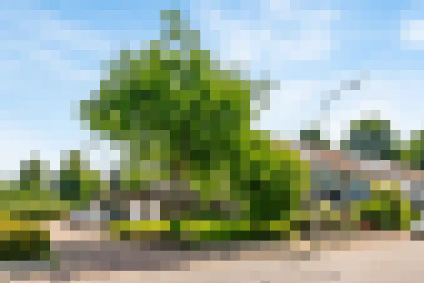 De Hennepe 527 Tiel thumbnail 36