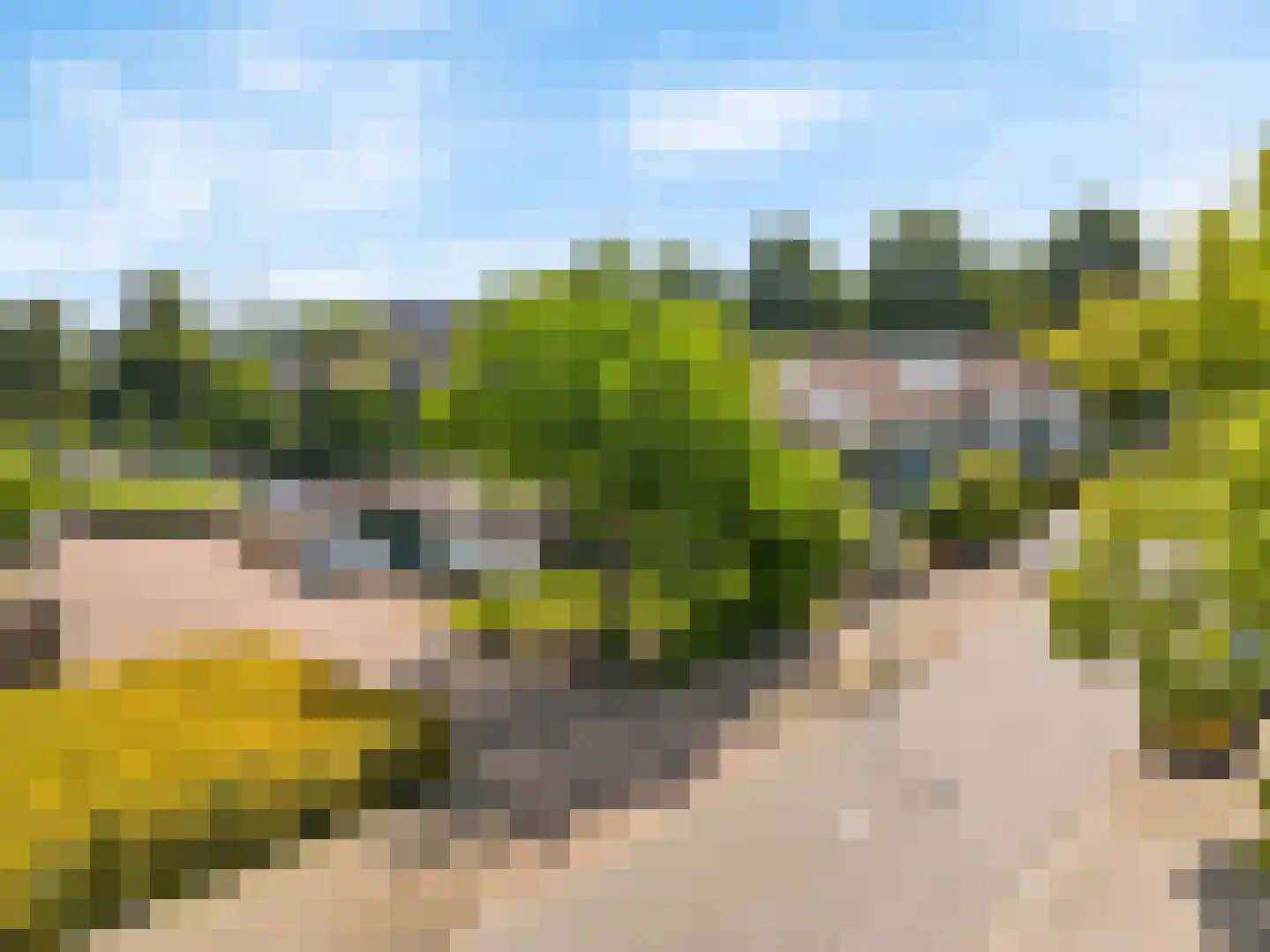 De Hennepe 527 Tiel thumbnail 38