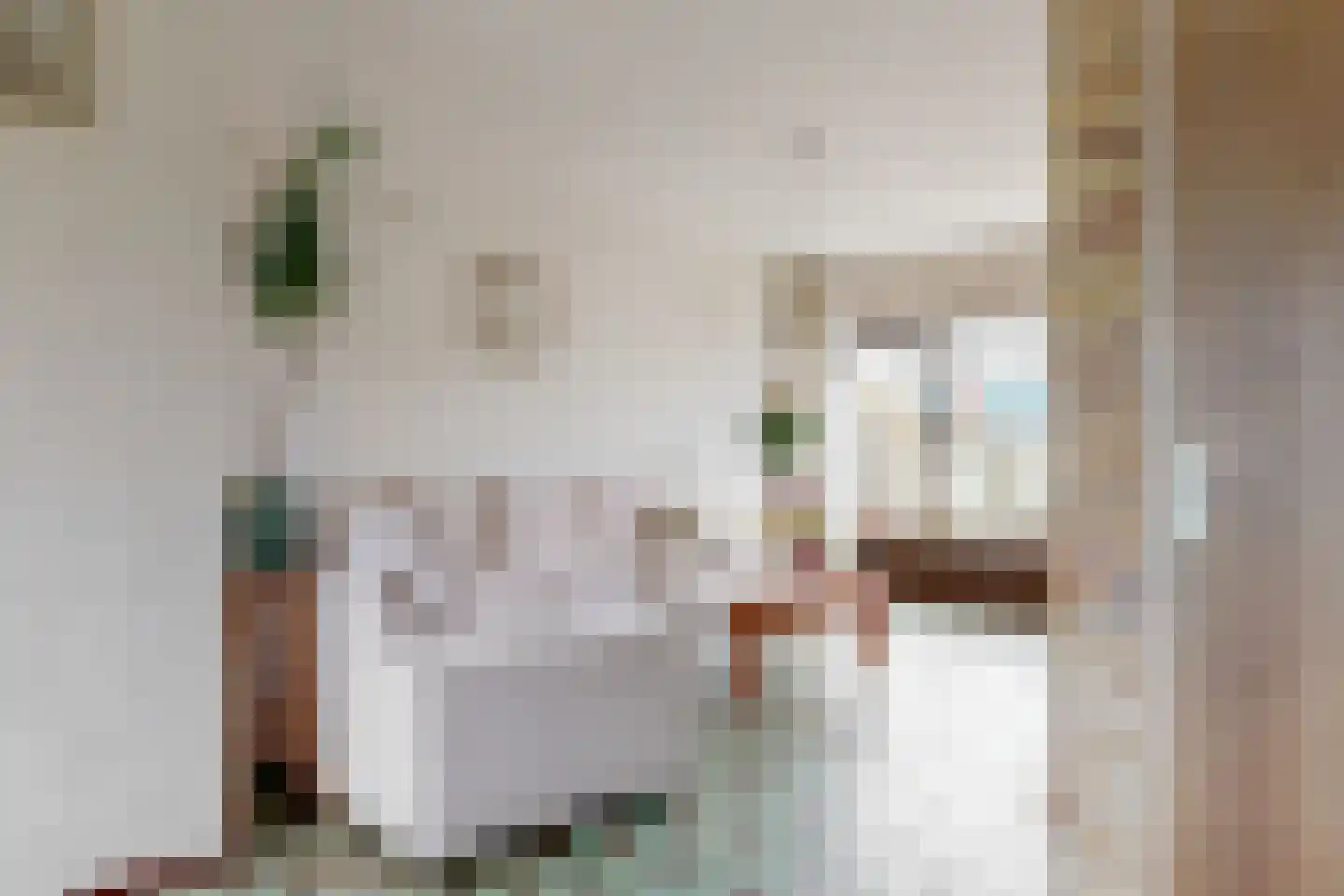 De Hennepe 527 Tiel thumbnail 8