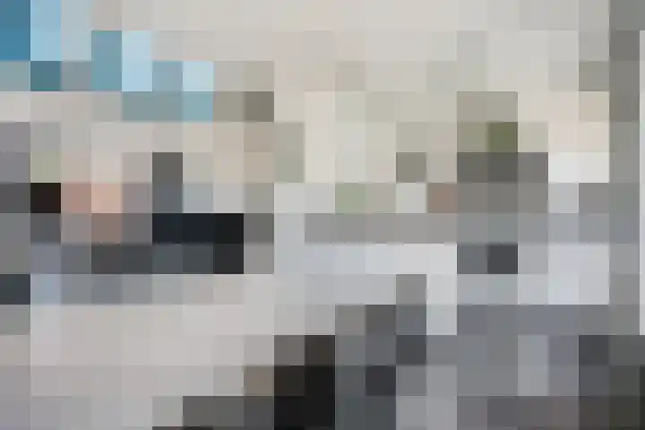 De Hennepe 59 Tiel thumbnail 13