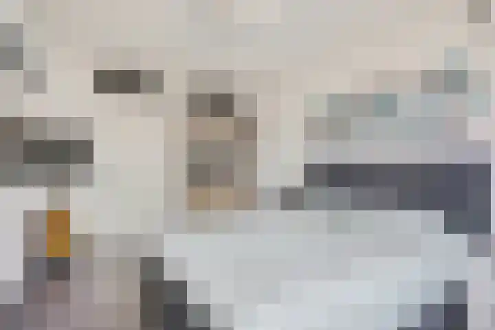 De Hennepe 59 Tiel thumbnail 19