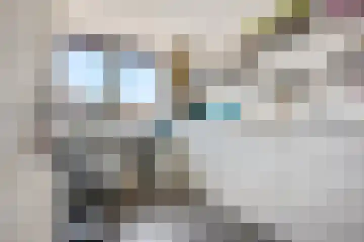 De Hennepe 59 Tiel thumbnail 22