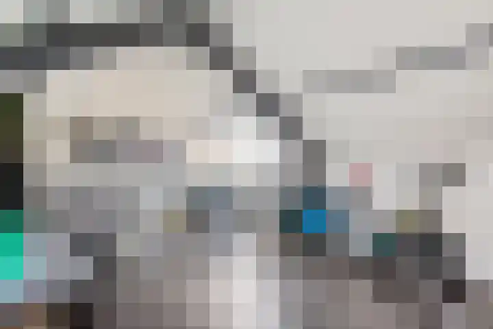 De Hennepe 59 Tiel thumbnail 28